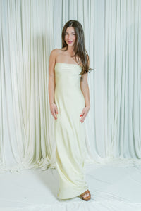 Andi's Strapless Tie Back Maxi Dress