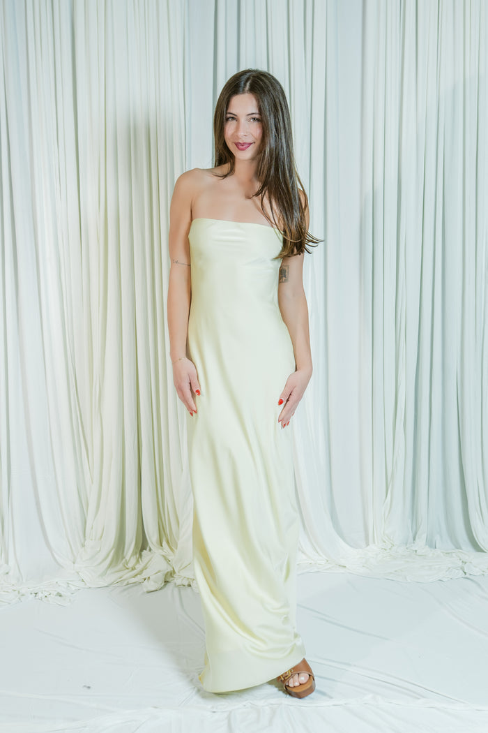 Andi's Strapless Tie Back Maxi Dress
