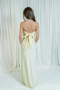 Andi's Strapless Tie Back Maxi Dress