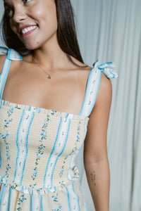 Picnic in Provence Mini Dress