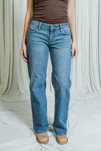 The Lowdown Skater Jean