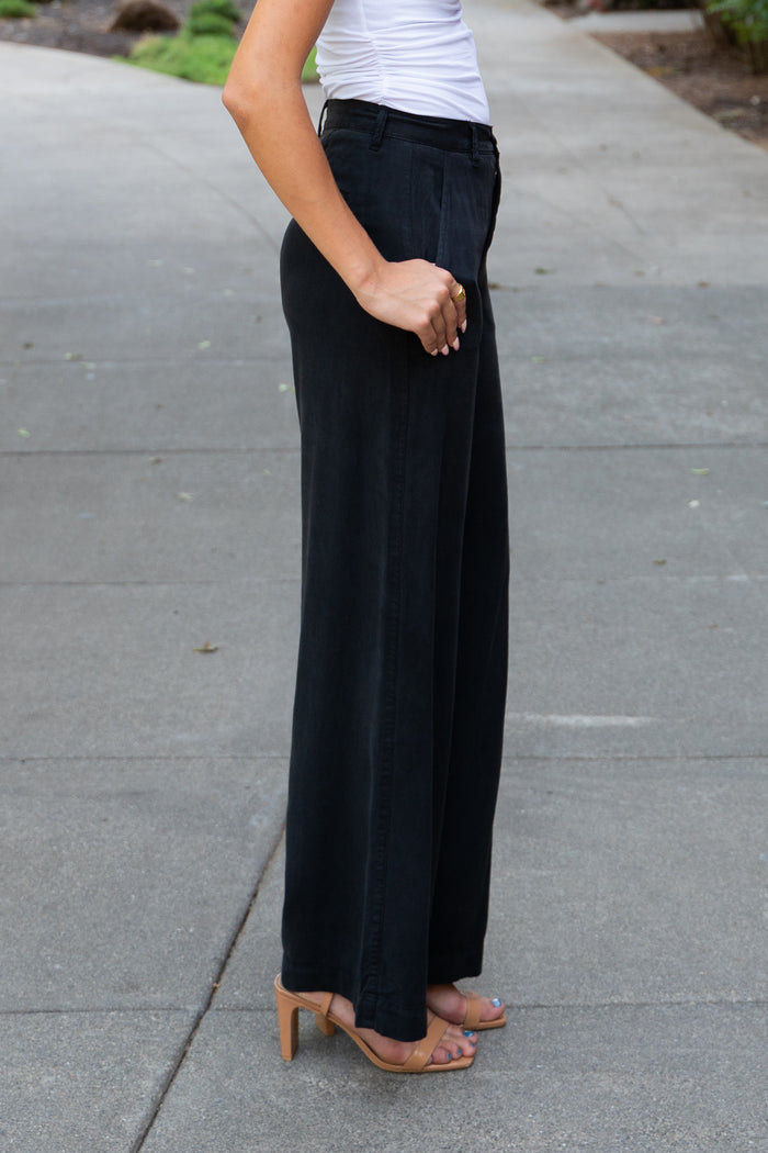 Jadyn Low Slung Palazzo Pant