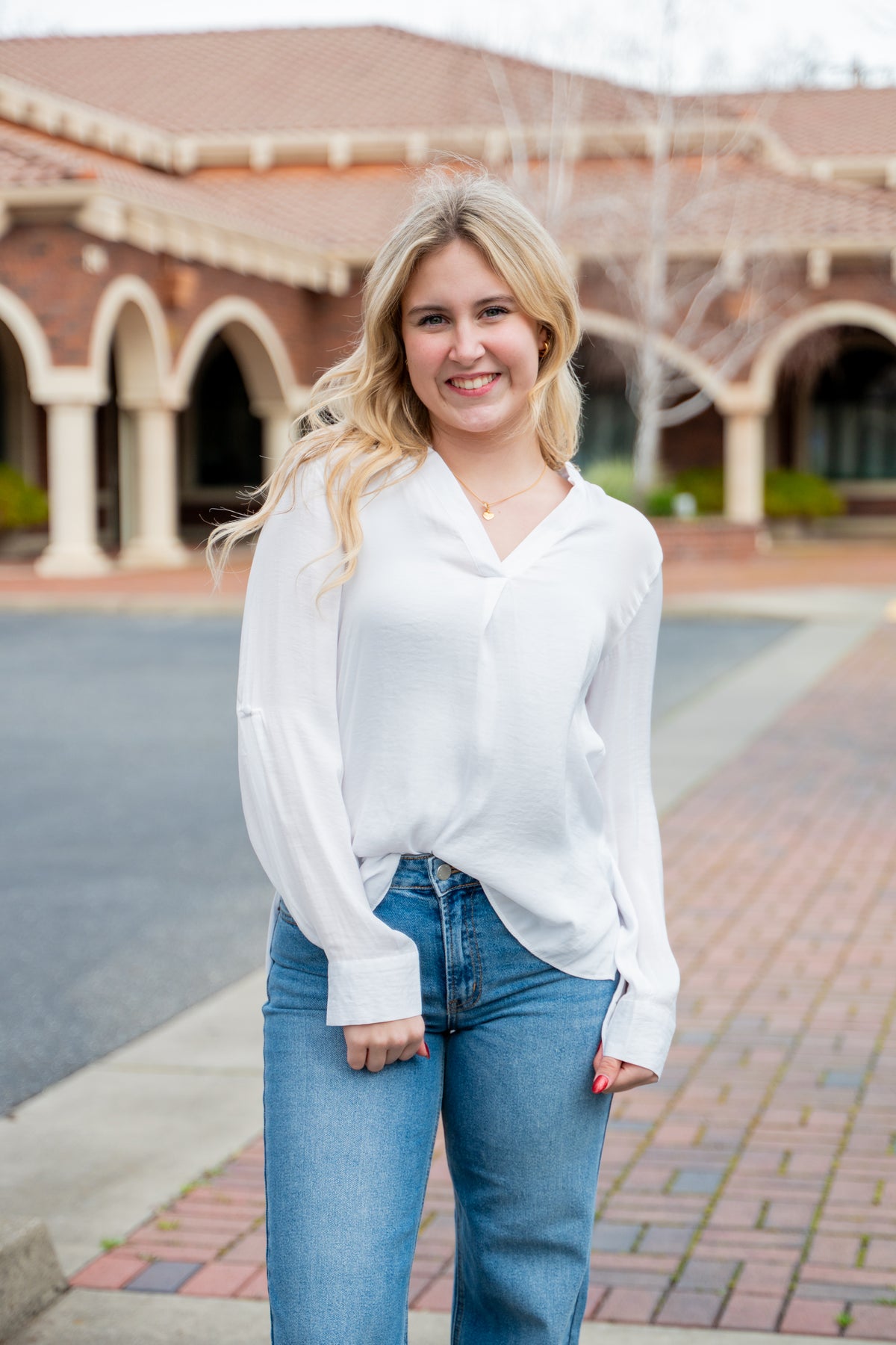 Collared Rolled Sleeve Satin Button Up