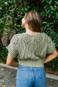 Short Sleeve Knitted Sweater