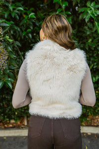 The Noelle Faux Fur Vest